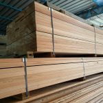Vigas estructurales de Eucaliptus